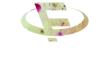 Focsis Marketing